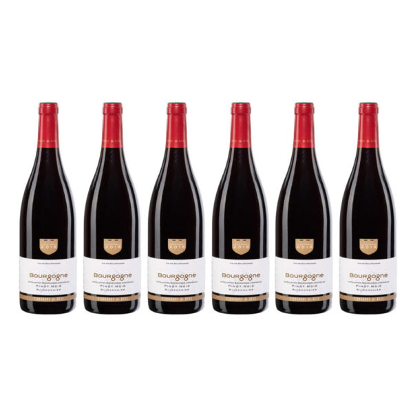 Vignerons de Buxy Bourgogne Pinot Noir Bourgogne 750mL - (6 Bottles)